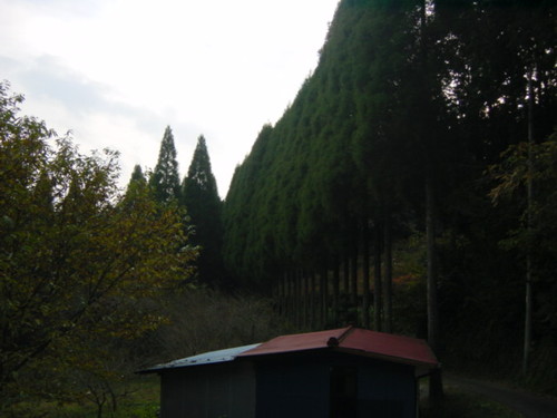 Dsc02502